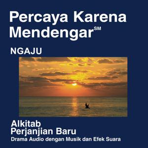Ngaju Alkitab - Ngaju Bible