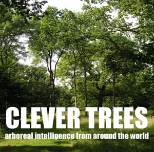 Clever Trees by Richard Uridge