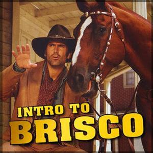 Intro to Brisco