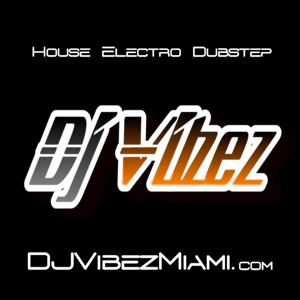 DJ VIBEZ's Mixes | DjVibezMiami.com |