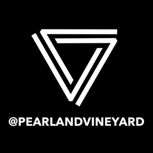 The Vineyard Church Pearland