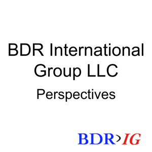 BDR IG LLC Perspectives