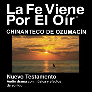 Chinanteco de Ozumacin Biblia - Chinanteco de Ozumacin Bible