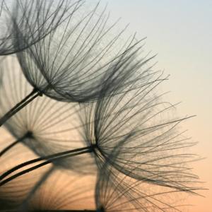 Women's Grit & Grace ~Embrace Your Power as a Woman in Life & Love