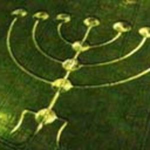 What Your Church Won`t Tell You!