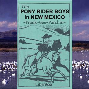 Pony Rider Boys in New Mexico, The by Frank Gee Patchin (1861 - 1925)