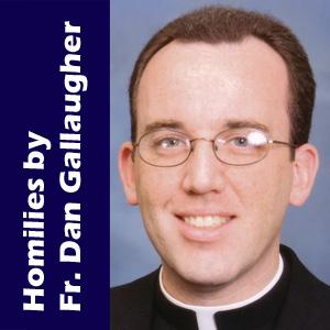 Fr. Dan Gallaugher's Podcast