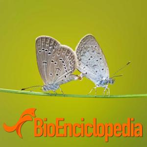 BioEnciclopedia