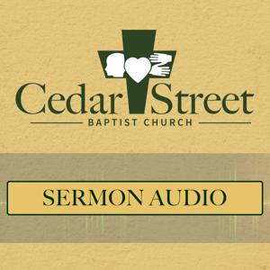 Cedar Street Baptist Church (Metter, GA)