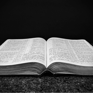 Empowered Bible Studies