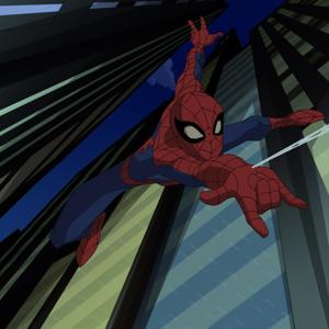 Spectacular Web's Podcast