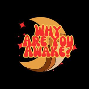 Why Are You Awake? by Paul Farahvar