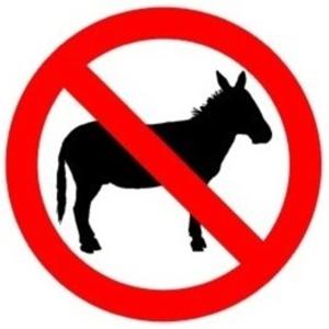 JinCAST - No Donkeys (Prank Call Podcast) by Jin Stewart Fans