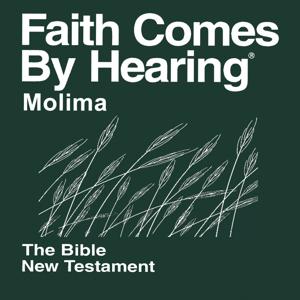 Molima Bible (Non-Dramatized)