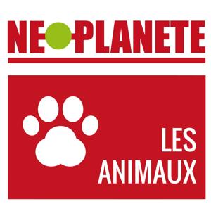 Les animaux