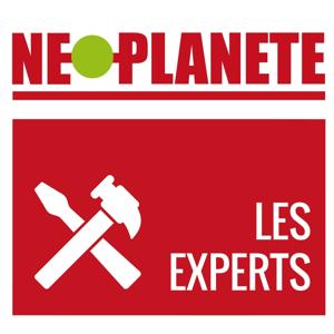 Les Experts