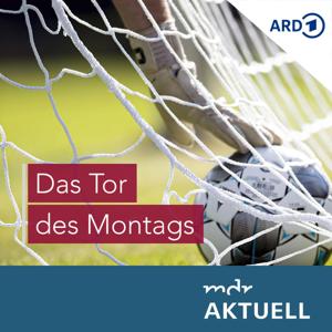 Tor des Montags von MDR AKTUELL