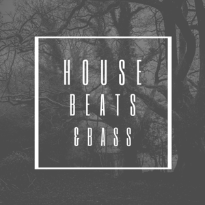 House beats & bass podcast