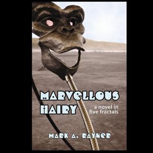 Marvellous Hairy - a novel in five fractals -