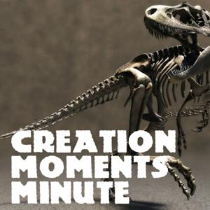 CREATION MOMENTS MINUTE