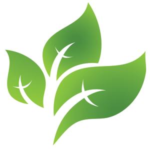St. Paul United Methodist Church -  The Message