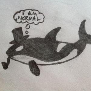 Killer Whales, They're Just Sorta Normal