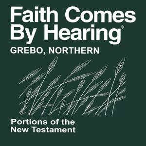 Grebo, Northern Bible - (Non-Dramatized)