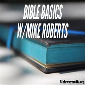 Bible Basics by Mike Roberts