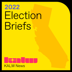 Bay Area Election Briefs