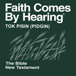 Tok Pisin Bible (Non-Dramatized)