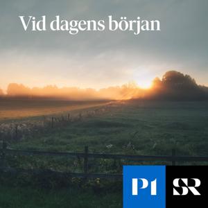 Vid dagens början