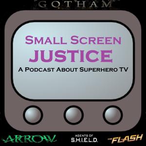 Small Screen Justice - Arrow, Gotham, The Flash, Agents of SHIELD, and More!