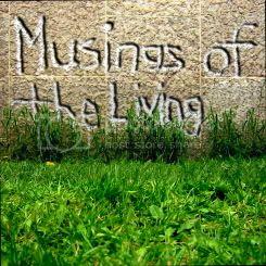 Musings of the Living