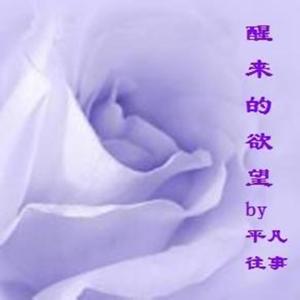 醒来的欲望 (中篇) by 平凡往事