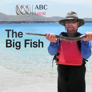 Big Fish by ABC Radio