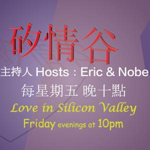 矽情谷 Love in Silicon Valley