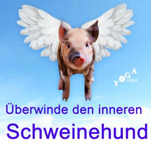 Den inneren Schweinehund überwinden