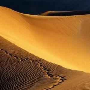 Ádam, Eva og øll hini