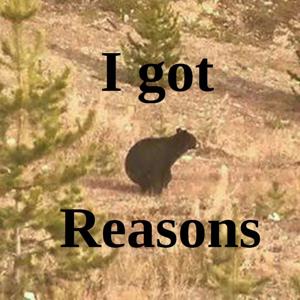 I Got Reasons