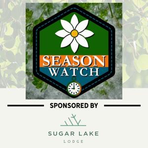 Season Watch