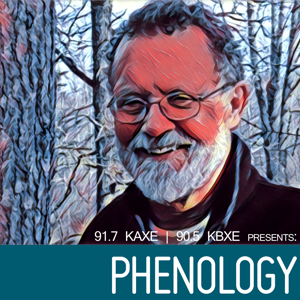 Phenology by John Latimer