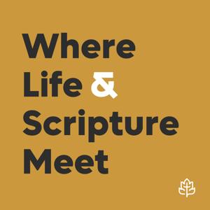 CCEF Podcast: Where Life & Scripture Meet by CCEF
