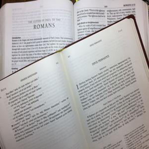 Romans 1: Man's Fall