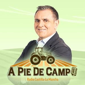 A pie de Campo