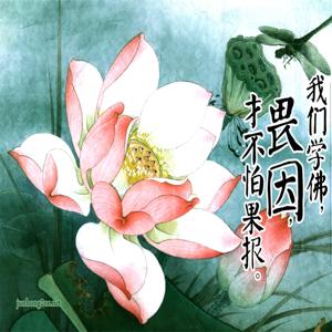 2010年东方台节目