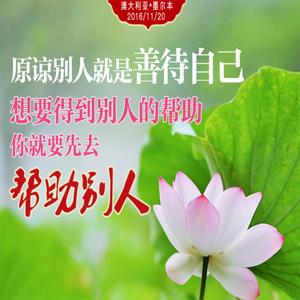 2011年东方台节目