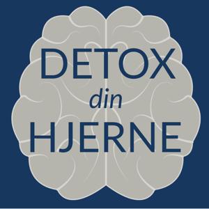 Detox Din Hjerne by Morten Elsøe & Anne Gaardmand
