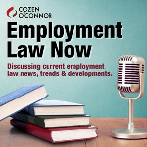 Employment Law Now by Michael Schmidt