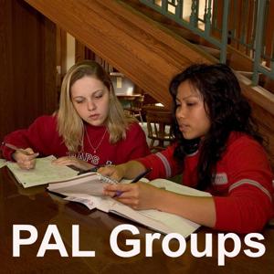 Peer Assisted Learning (PAL) Groups : College Group Tutoring and Study Review Groups by David Arendale