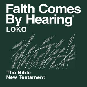 Loko Bible (Non-Dramatized)